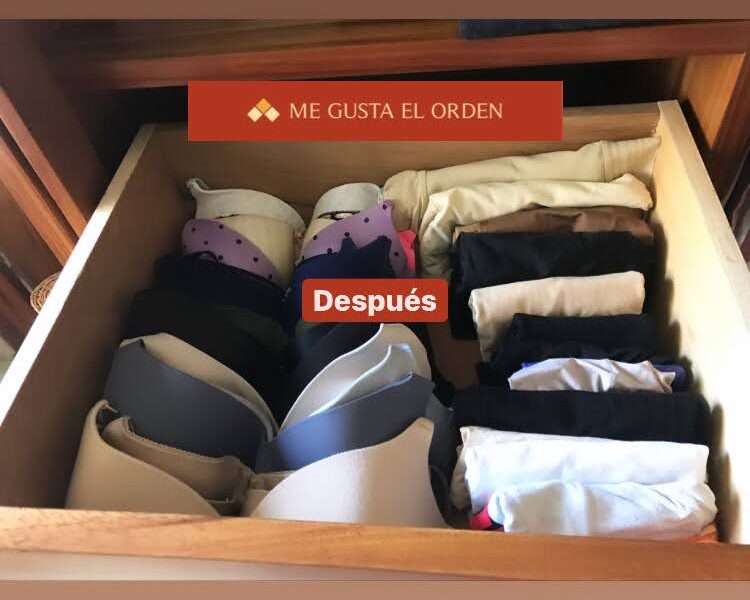 Orden de Master Closet: Disfruta del placer de vivir organizado