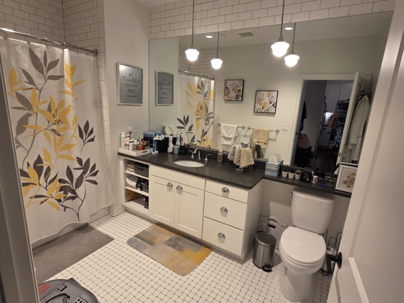 Organization Bathroom