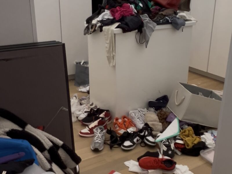 Organización, Descarte y Optimización de Espacios en el Master Closets