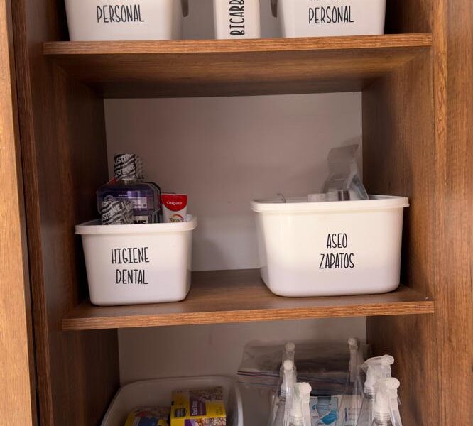 Servicios de reorganizacion de zona de oficios