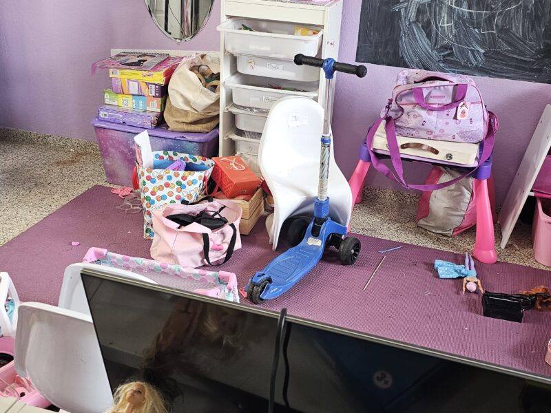 Simplify the Playroom with Blissfully Organized by Jeny