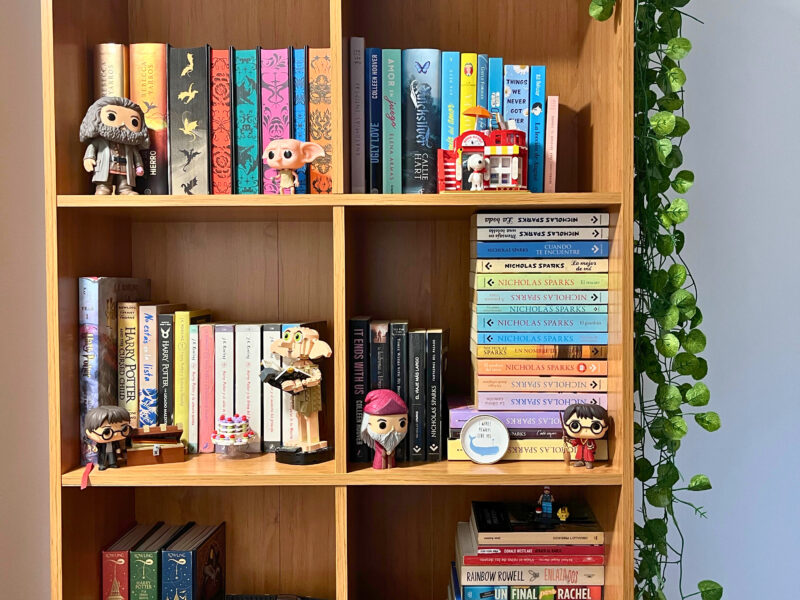 Organización Profesional de Oficina o Biblioteca