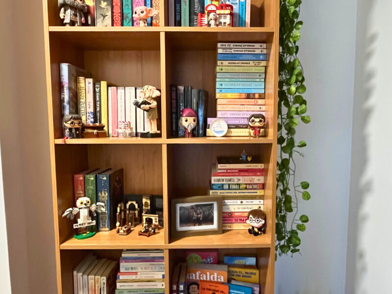 Organización Profesional de Oficina o Biblioteca