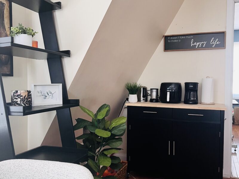 one-bedroom apartment renovation