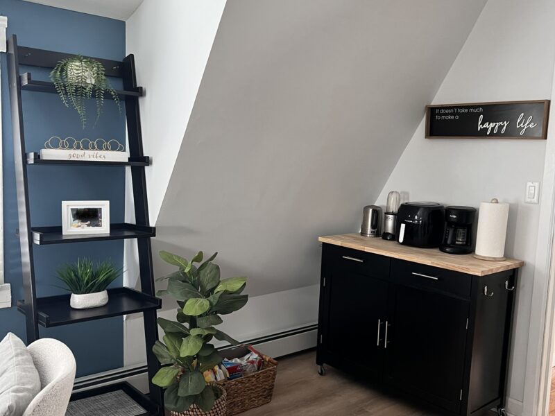 one-bedroom apartment renovation